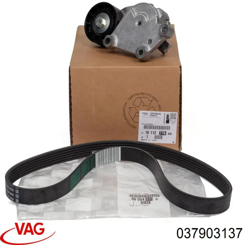 037903137 VAG 