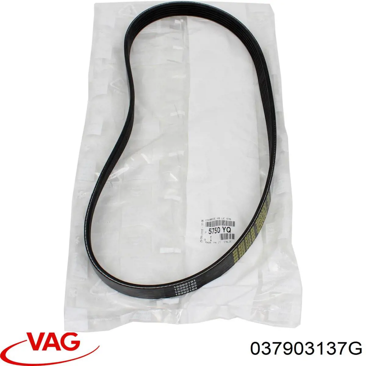 Compre 037903137G VAG Correia dos conjuntos de transmissão