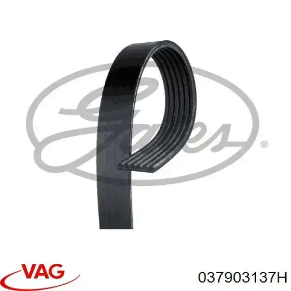 Correia dos conjuntos de transmissão 037903137H VAG