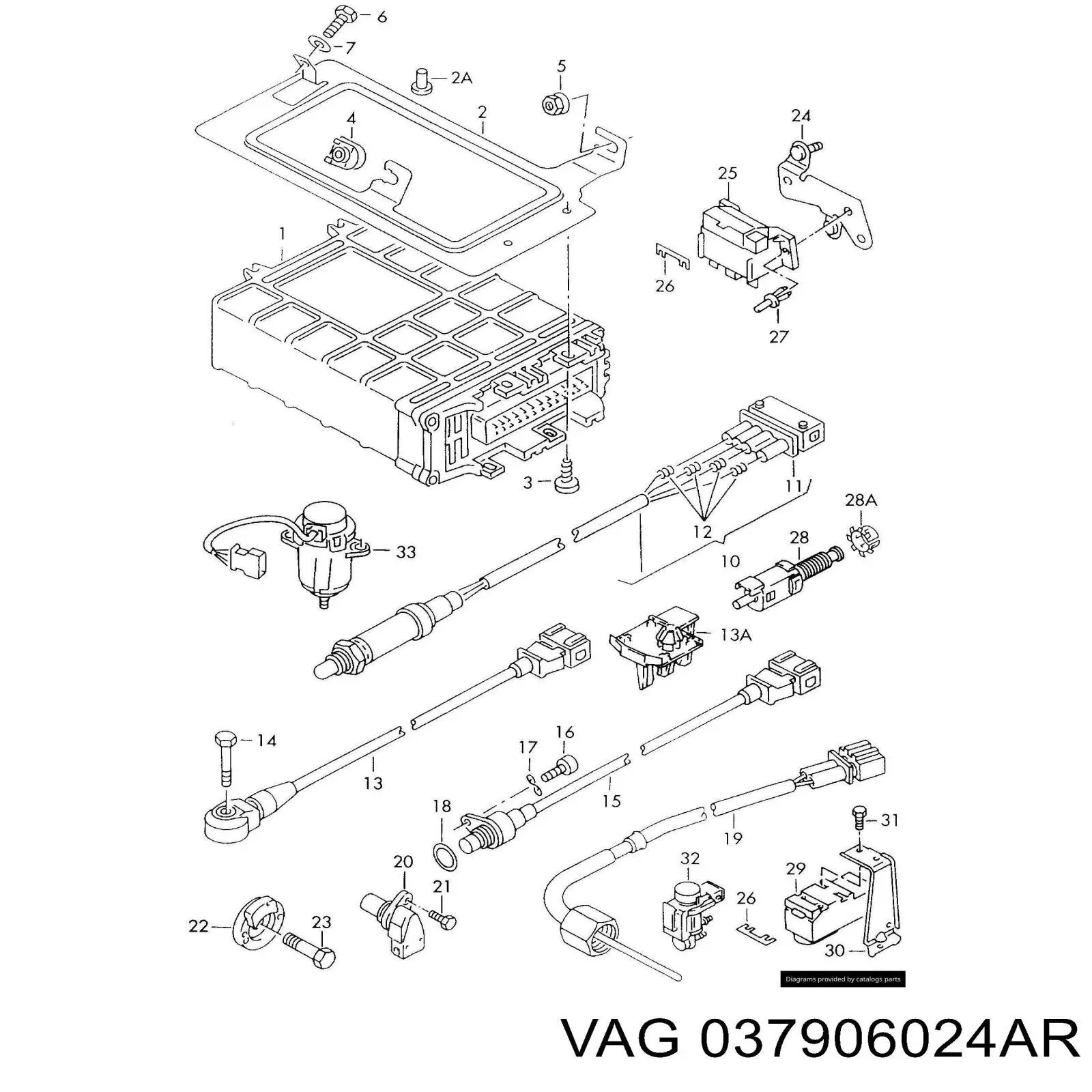 037906024AR VAG Мозги двигателя