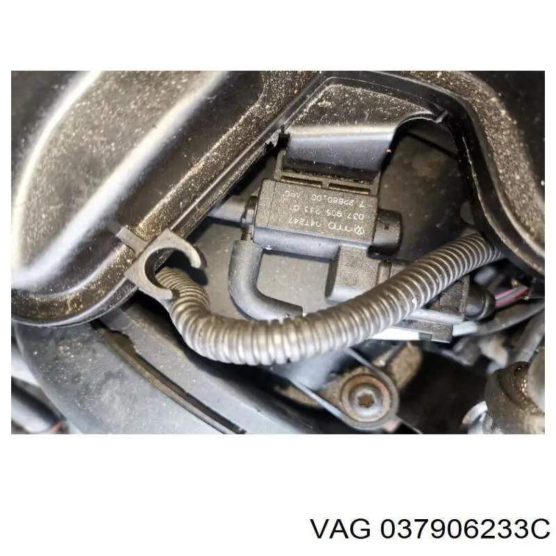 037906233C VAG 