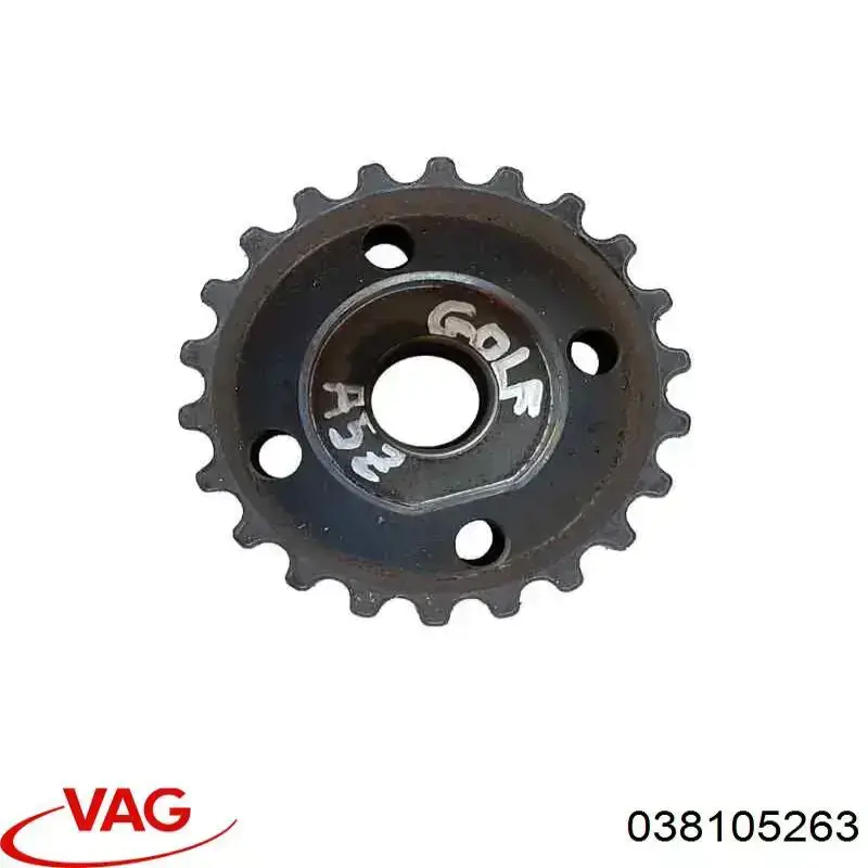 038105263 VAG 