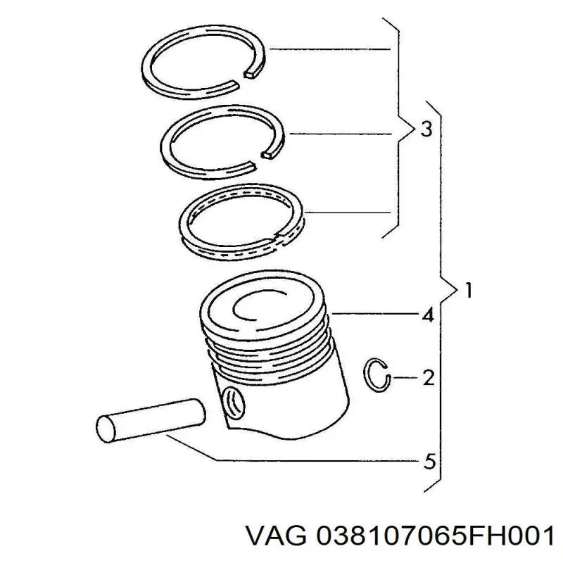 038107065FH001 VAG