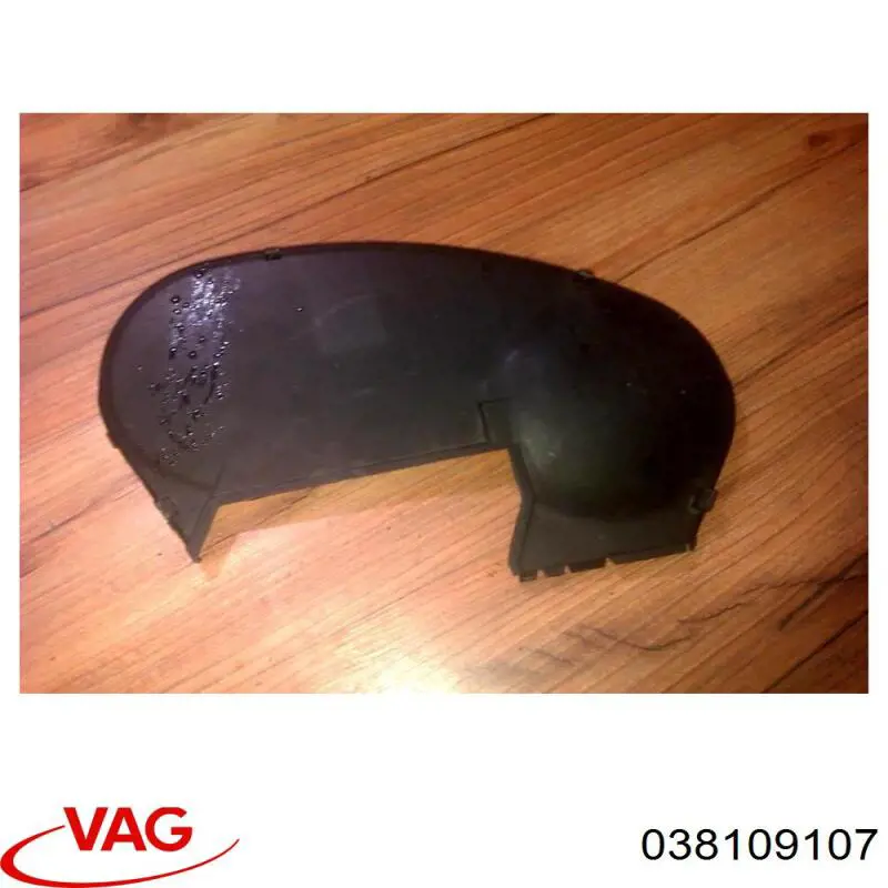  038109107 VAG