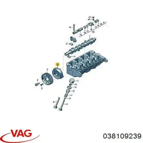 Купить 038109239 VAG Фланец шестерни распредвала