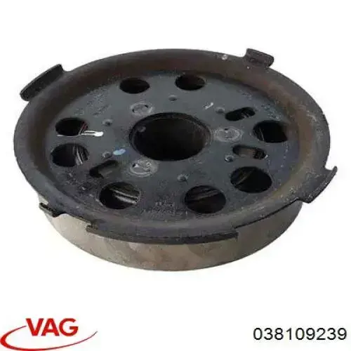 Купить 038109239 VAG Фланец шестерни распредвала
