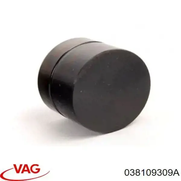 Гидротолкатель VAG 038109309A