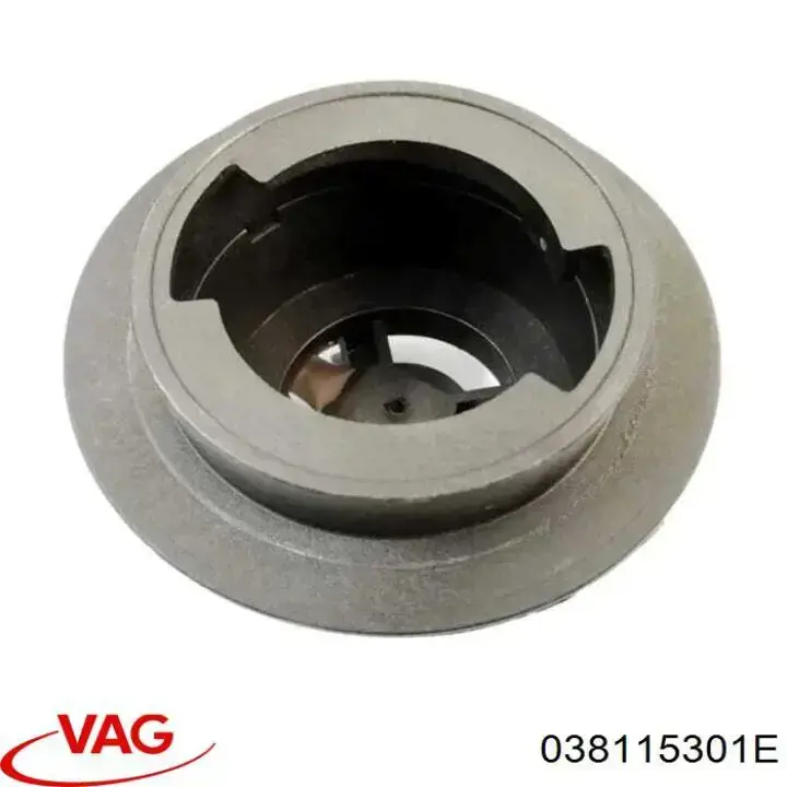  VAG 038115301E цена, от 21.87 USD