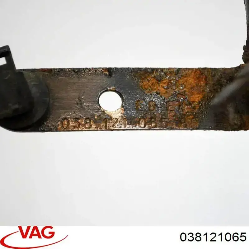  038121065 VAG