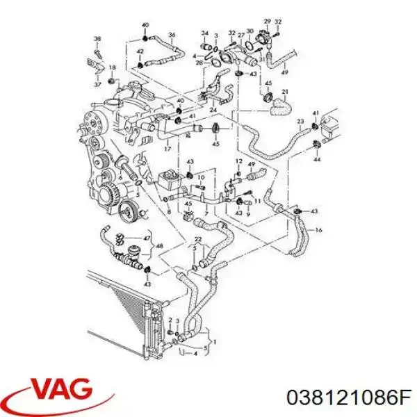 Патрубок системы охлаждения 038121086M VAG