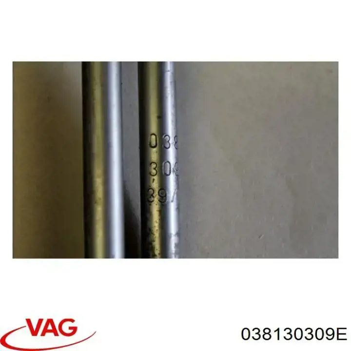  038130309E VAG