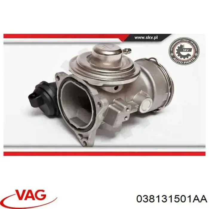 Купить 038131501AA VAG Клапан EGR системы рециркуляции отработавших газов