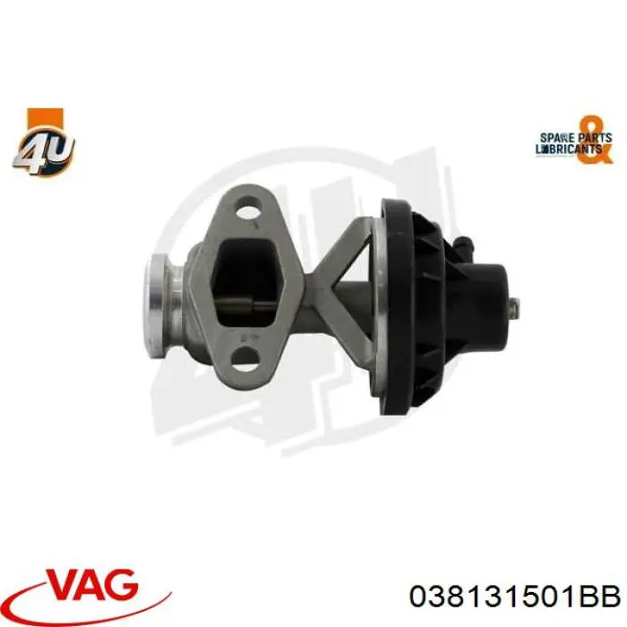 Купить 038131501BB VAG Клапан EGR системы рециркуляции отработавших газов