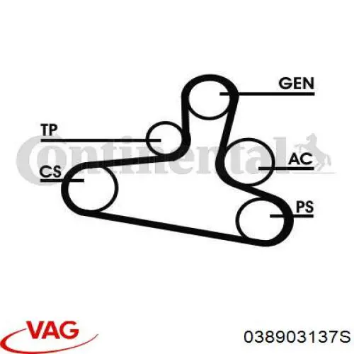 Купить 038903137S VAG Ремень генератора