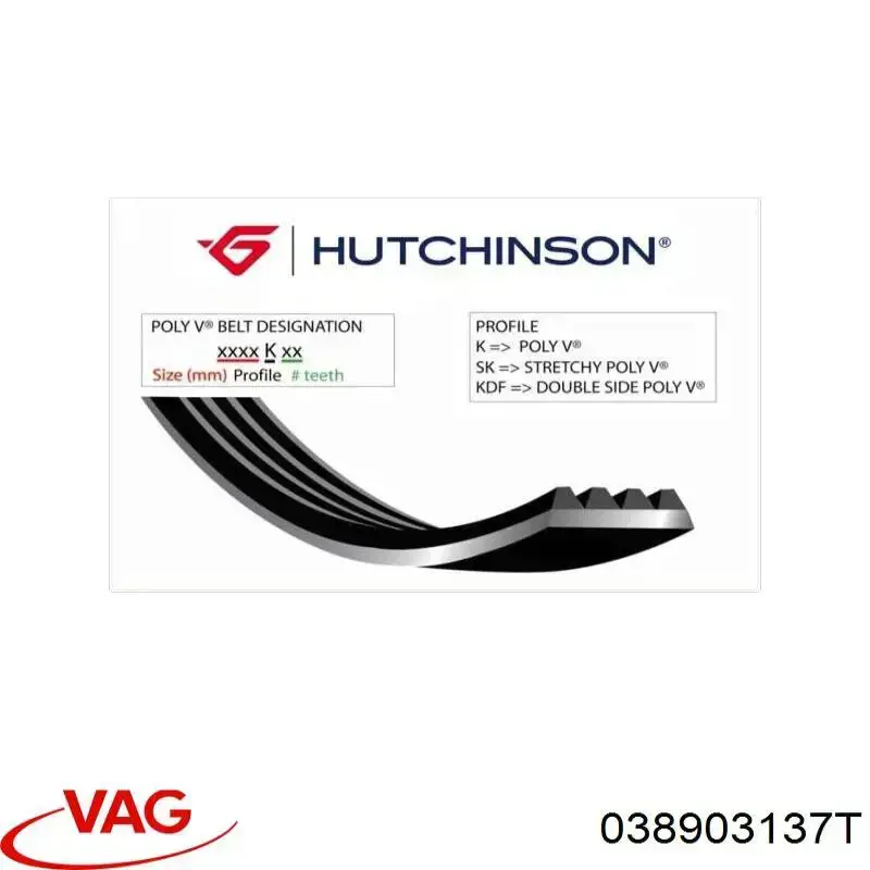 038903137T VAG Поликлиновый ремень