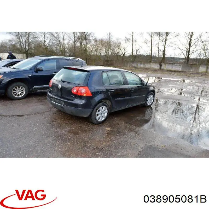  038905081B VAG