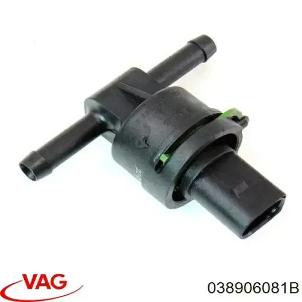 Sensor, temperatura combustible 038906081B VAG/Audi