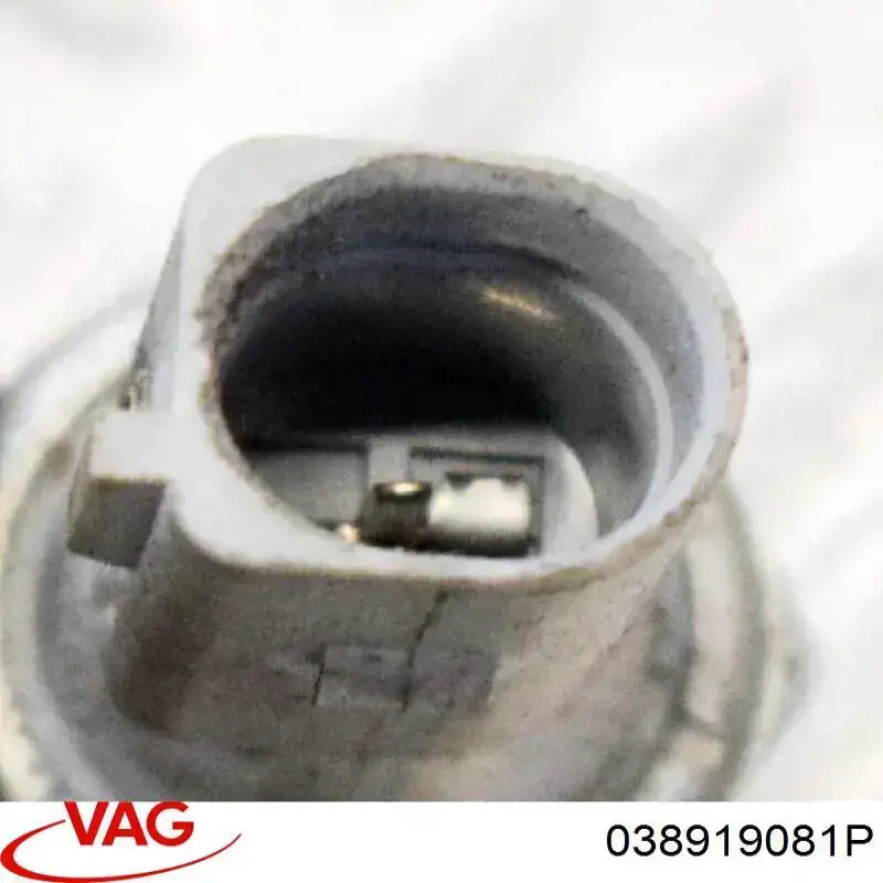 Купить 038919081P VAG Датчик давления масла