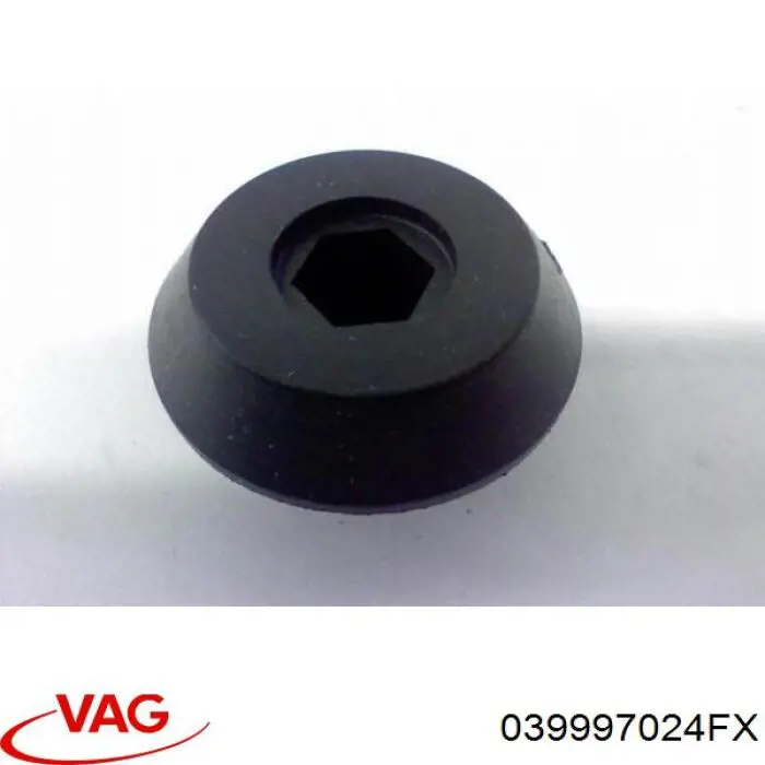 039997024FX VAG Мозги двигателя