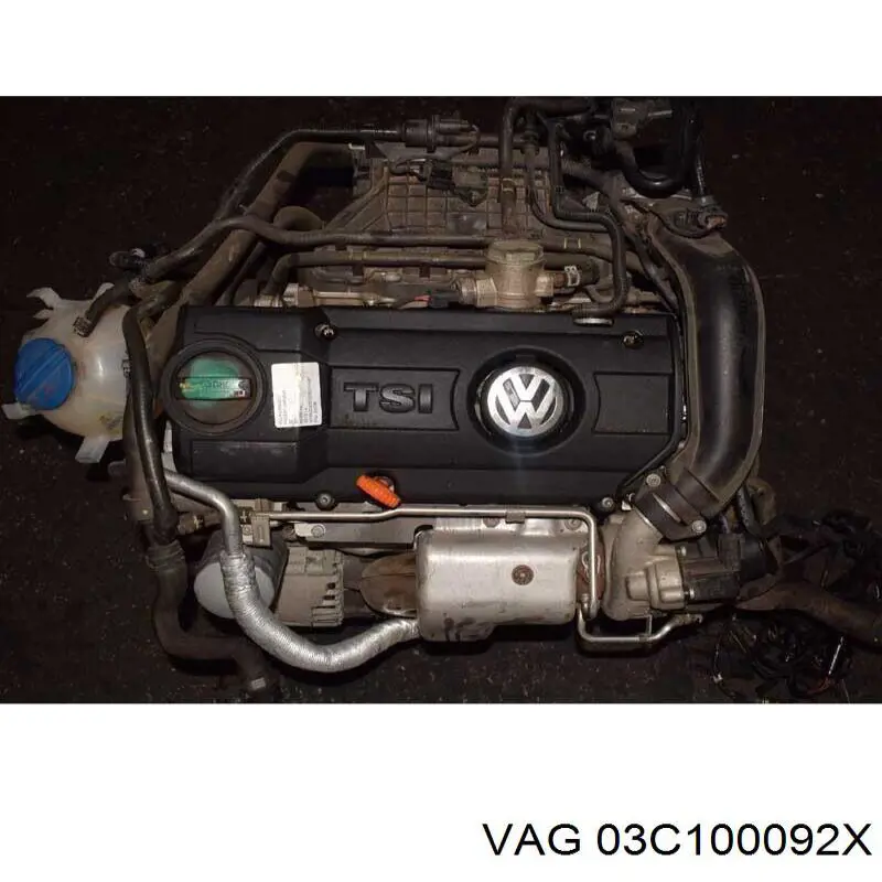 03C100038P VAG motor montado