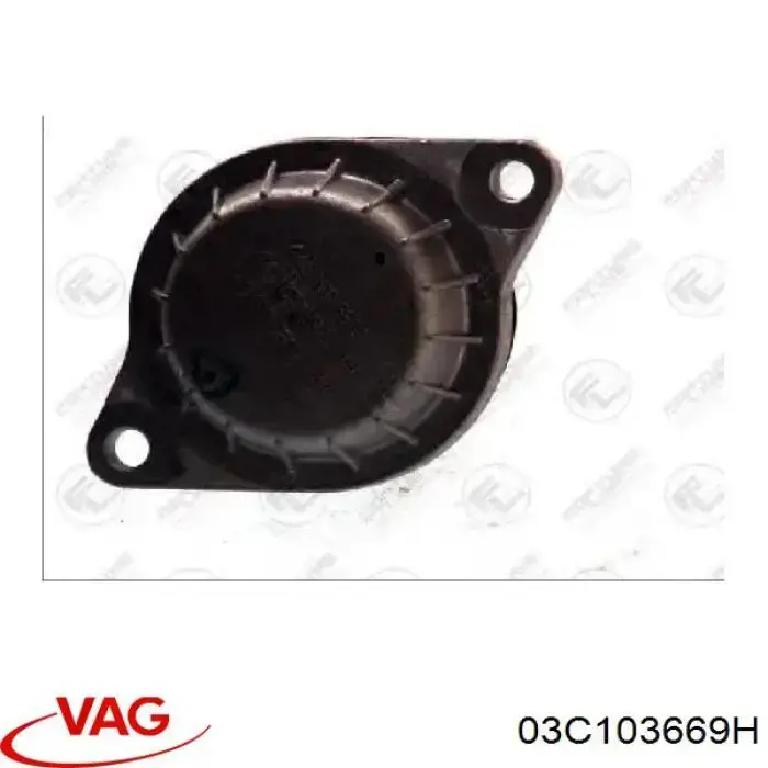 03C103669E VAG Защита цепи масляного насоса