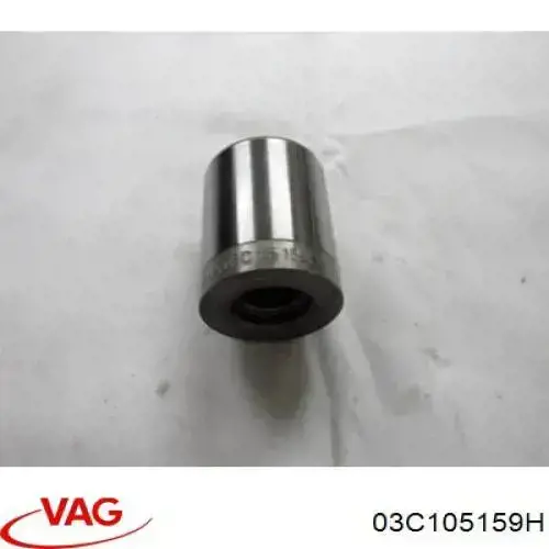 Cojinete guía, embrague 03C105159H VAG/Audi