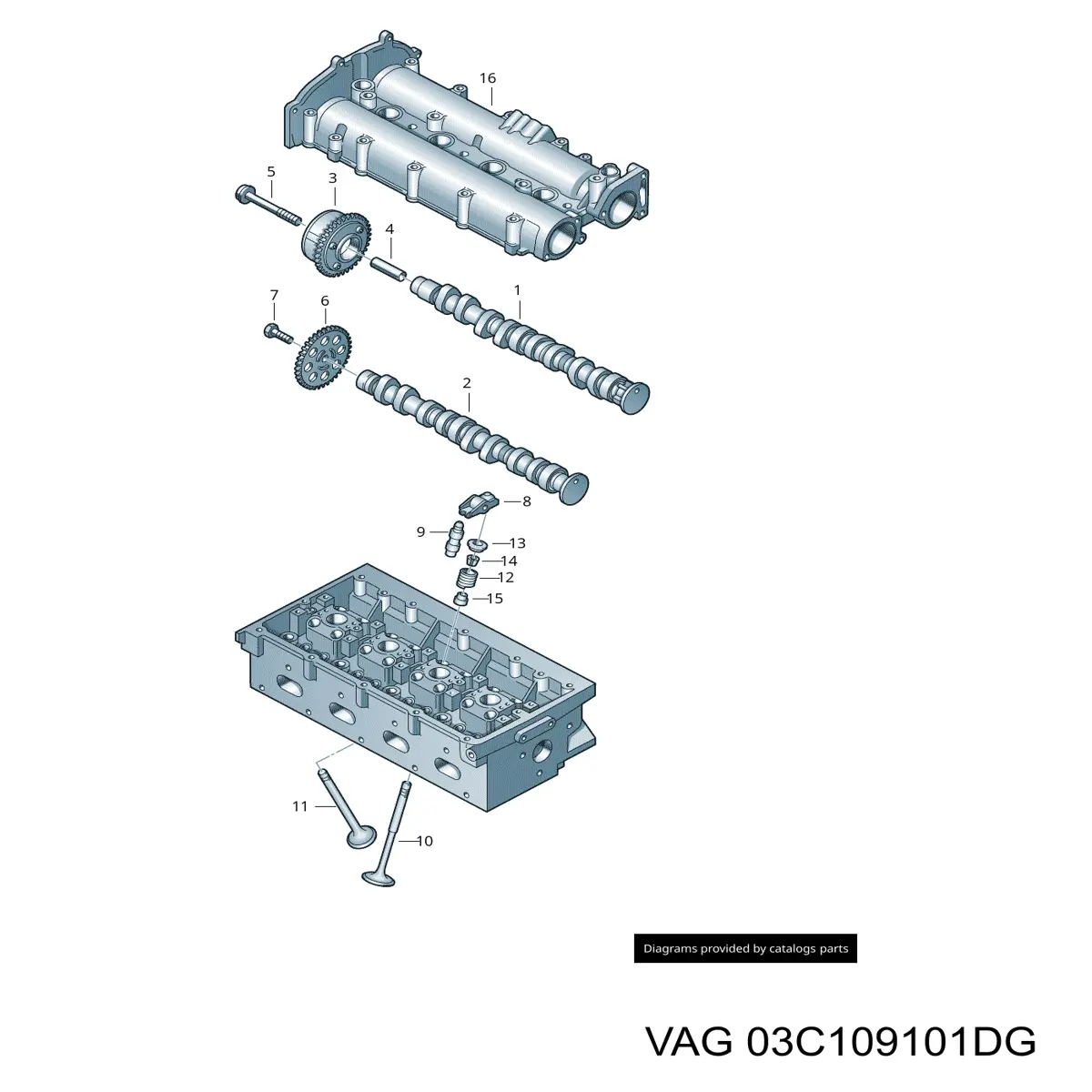 03C109101DG VAG árvore distribuidora de motor de admissão