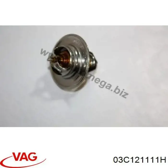 Купить 03C121111H VAG Корпус термостата