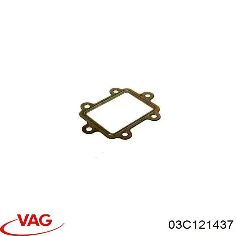 Купить 03C121437 VAG Прокладка радиатора масляного