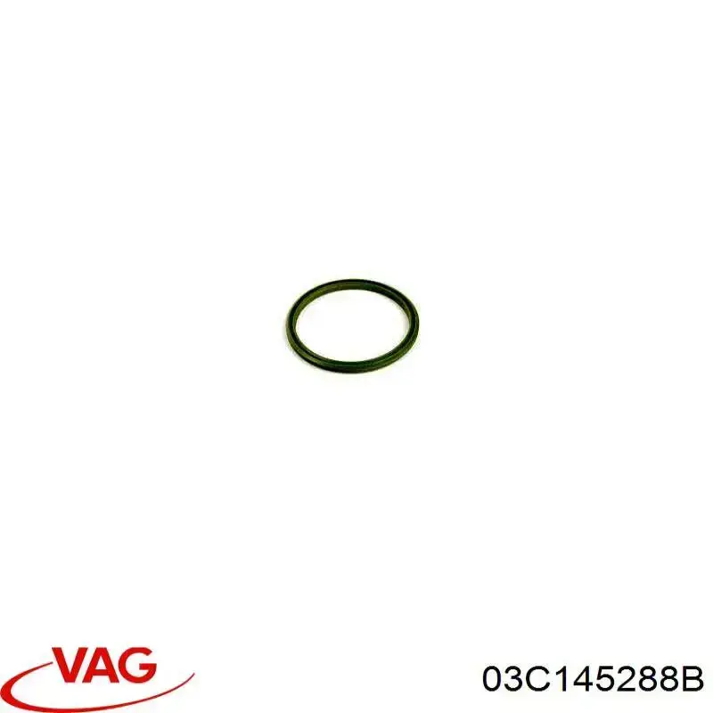 Кольцо уплотнительное шланга компрессора нагнетательного на Volkswagen Golf Plus V 