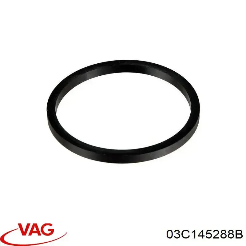 Кольцо уплотнительное шланга компрессора нагнетательного 03C145288B VAG