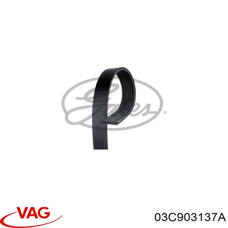 Купить 03C903137A VAG Ремень генератора