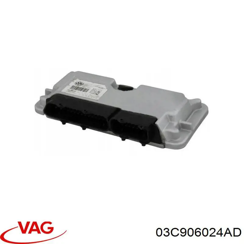 03C906024F VAG Мозги двигателя