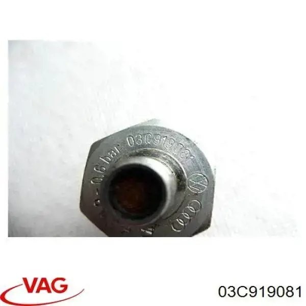 03C919081 VAG