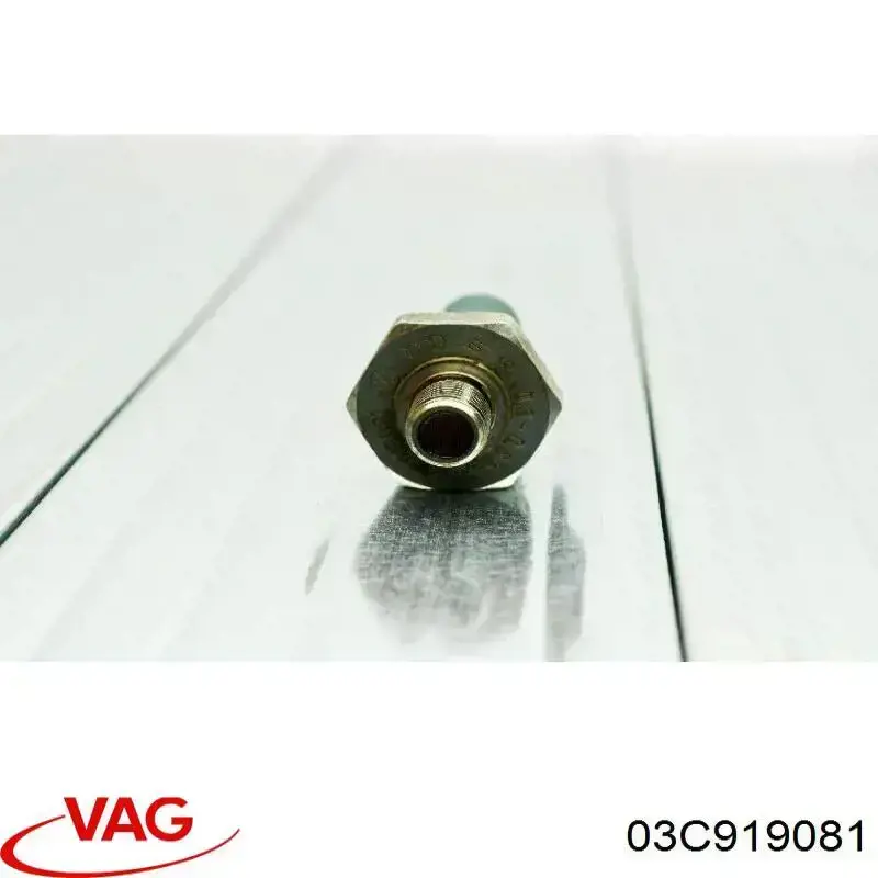 Датчик давления масла двигателя VAG 03C919081