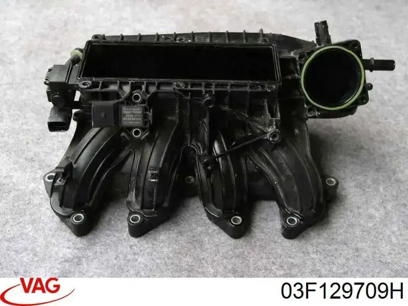 Коллектор впускной VAG 03F129709F цена, от 101.24 USD