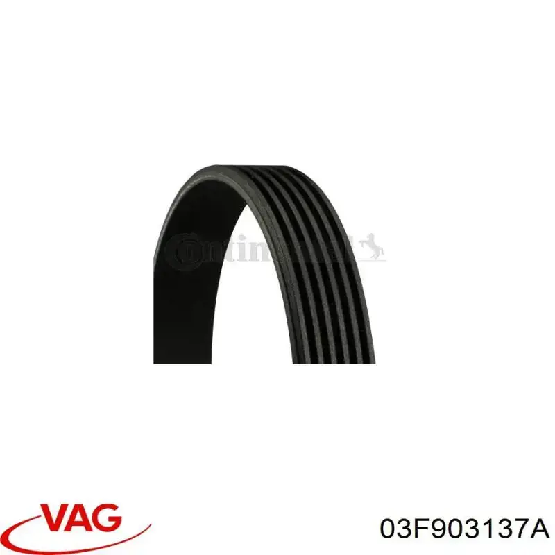 03F903137A VAG Поликлиновый ремень