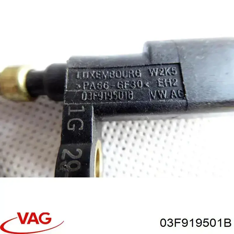 03F919501B VAG Sensor de temperatura do fluido de esfriamento (de ativação de ventilador do radiador)