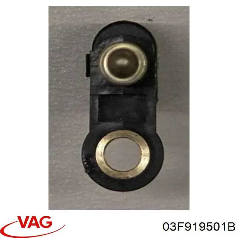 03F919501B VAG Sensor de temperatura do fluido de esfriamento (de ativação de ventilador do radiador)