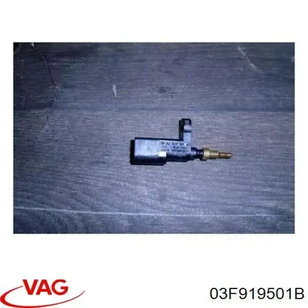 Sensor, temperatura del refrigerante (encendido el ventilador del radiador) 03F919501B VAG