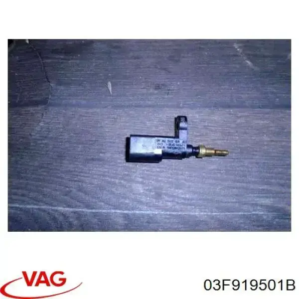 Compre 03F919501B VAG Sensor de temperatura do fluido de esfriamento (de ativação de ventilador do radiador)