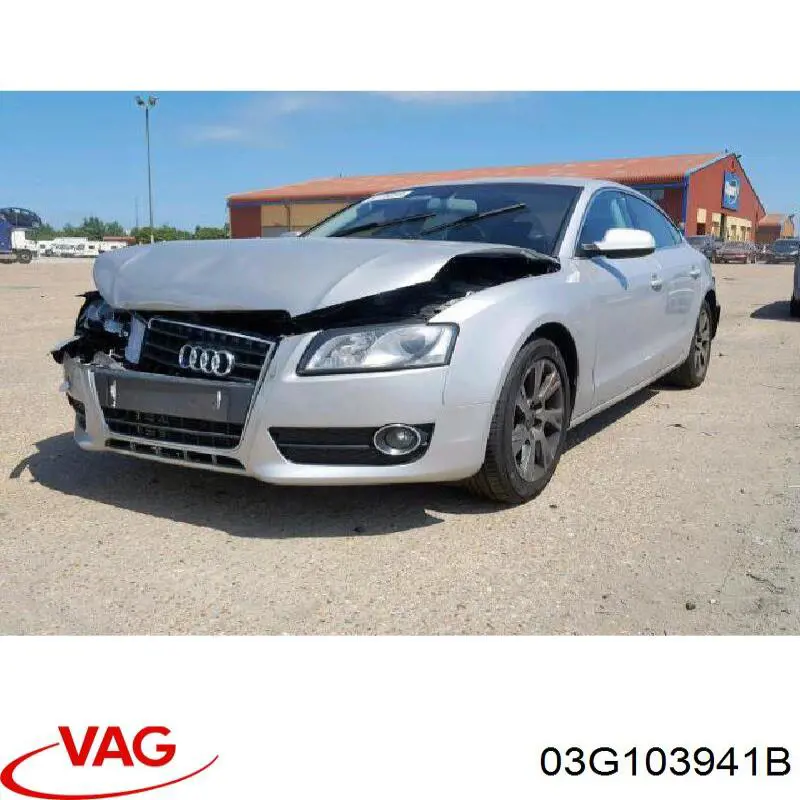 03G103941B VAG 