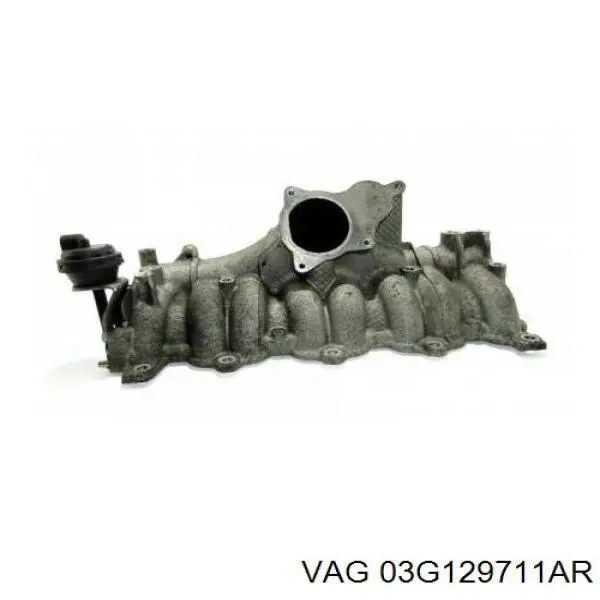 Коллектор впускной VAG 03G129711AR цена, от 20.32 USD