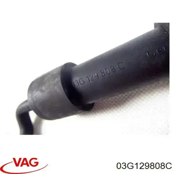 03G129808C VAG 