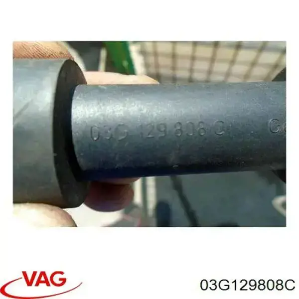 Купить 03G129808C VAG 