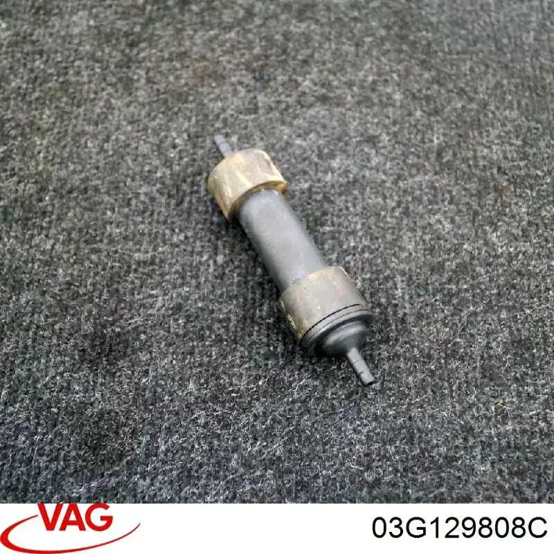  03G129808C VAG