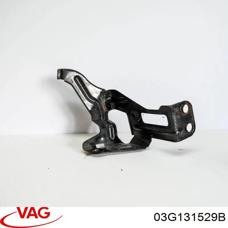 03G131529B VAG 