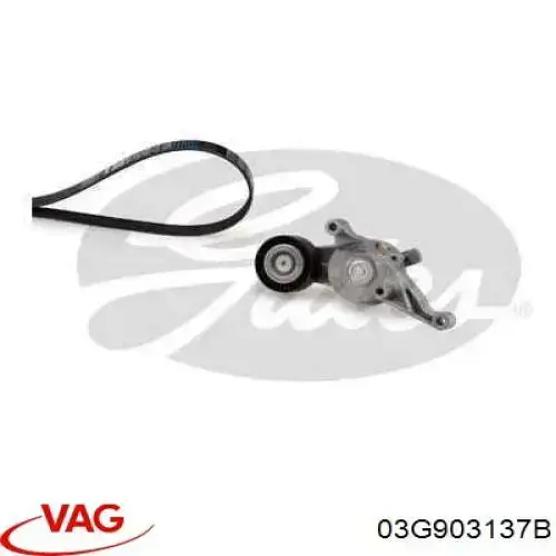 Ремень генератора 03G903137B VAG