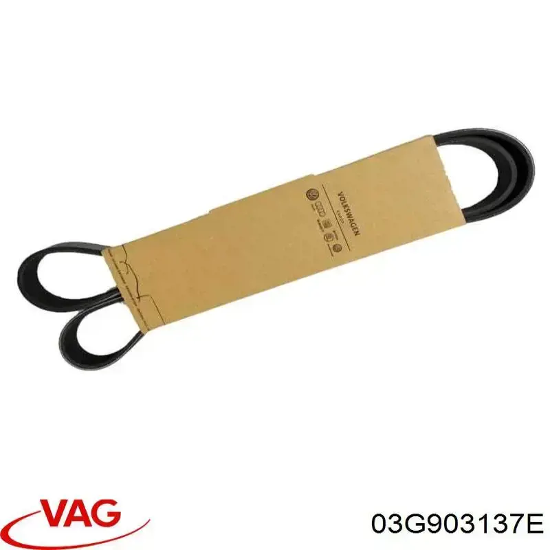 03G903137E VAG Поликлиновый ремень