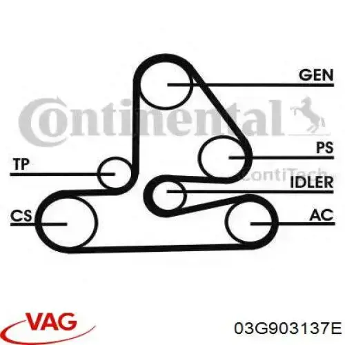 Клиновый ремень VAG 03G903137E цена, от 33.59 USD